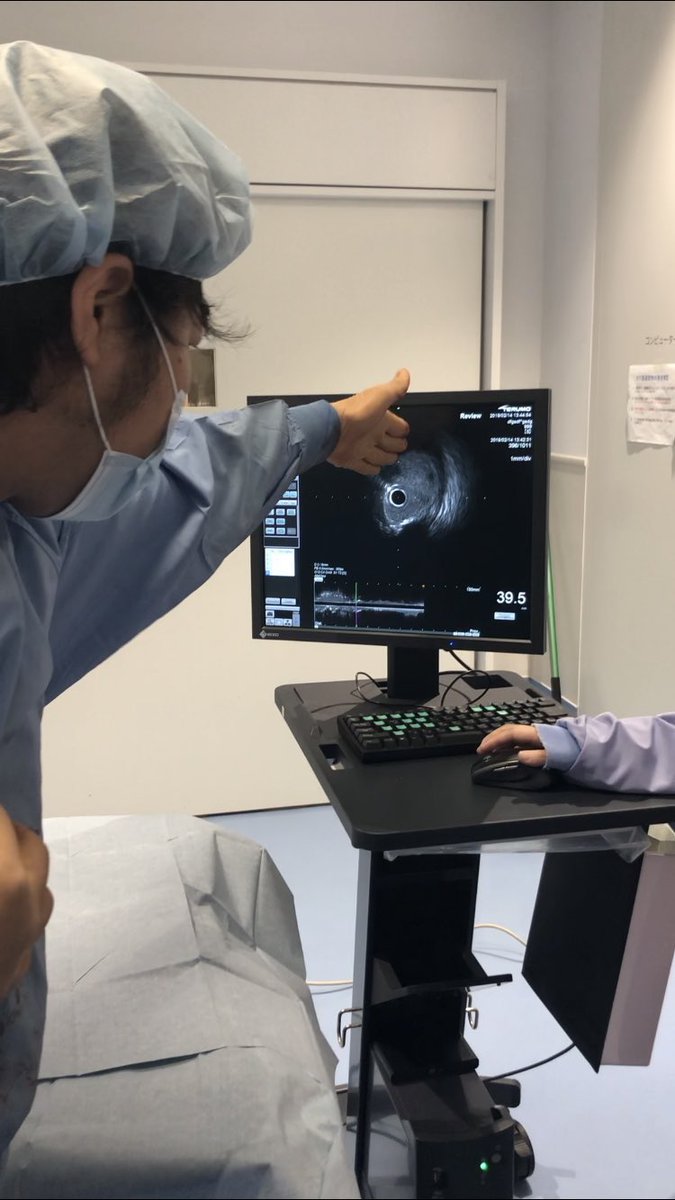 Terumo Altaview 60MHz IVUS catheter