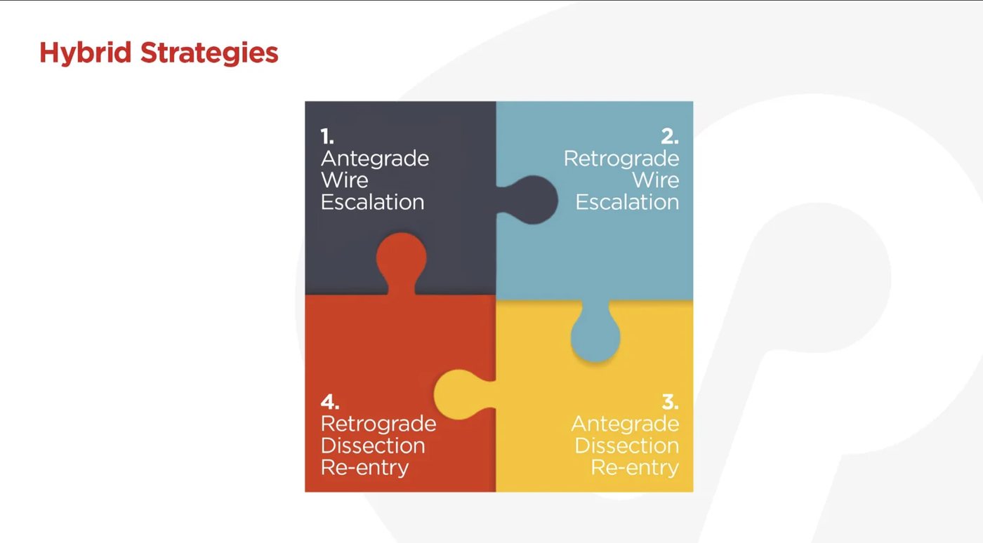 Hybrid strategies puzzle: AWE, RWE, ADR and RDR as four interlocking pieces